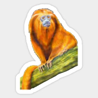 Golden Lion Tamarin Sticker